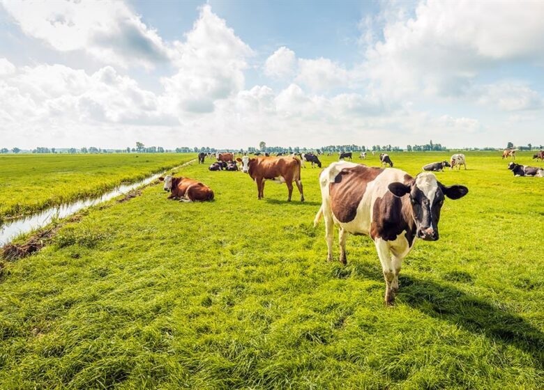 Wat valt er onder de fysieke start van een activiteit vóór 1 januari 2025, toepassing overgangsregeling 18 december 2024 uitspraken?